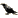 screens.common.bad_luck